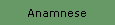 Anamnese