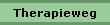 Therapieweg